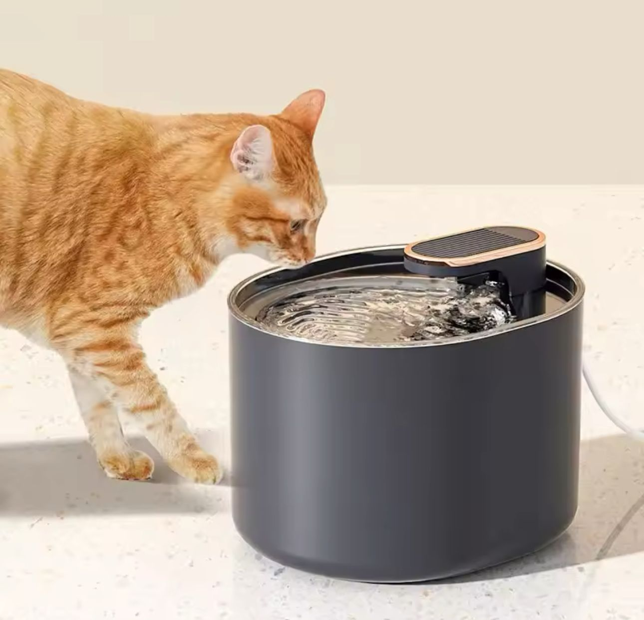 Fuente de Agua para Mascotas Led
